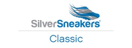 Silver 2025 sneakers classic